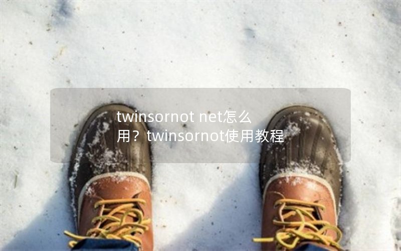 twinsornot net怎么用？twinsornot使用教程