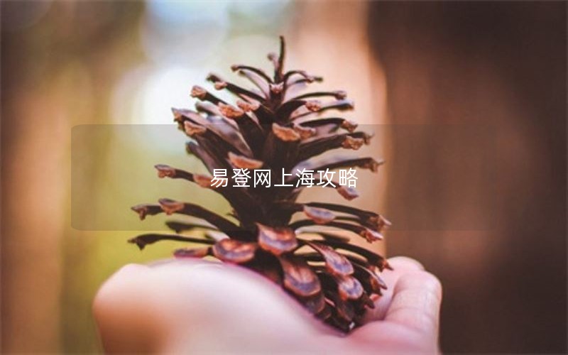 易登网上海攻略