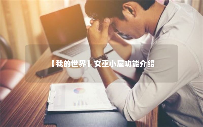 【我的世界】女巫小屋功能介绍