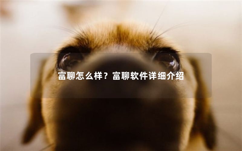 富聊怎么样？富聊软件详细介绍