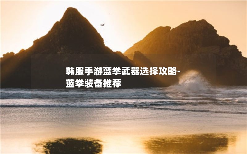 韩服手游蓝拳武器选择攻略-蓝拳装备推荐
