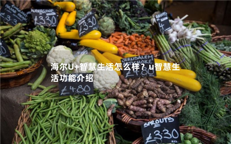 海尔U+智慧生活怎么样？u智慧生活功能介绍