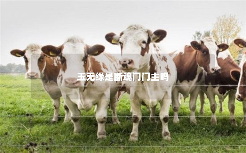 玉无缘是断魂门门主吗