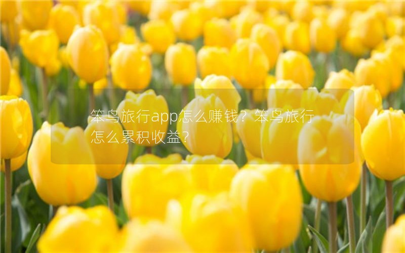 笨鸟旅行app怎么赚钱？笨鸟旅行怎么累积收益？