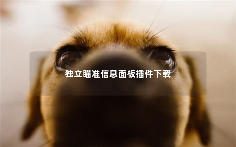 独立瞄准信息面板插件下载