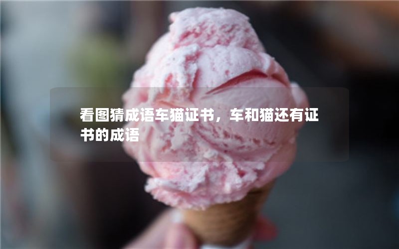 看图猜成语车猫证书，车和猫还有证书的成语
