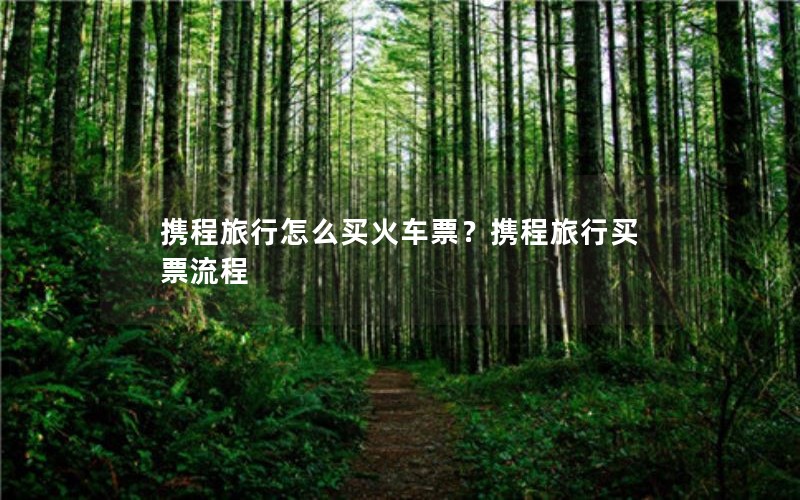 携程旅行怎么买火车票？携程旅行买票流程