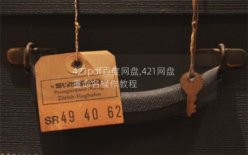 421pdf百度网盘,421网盘重命名操作教程