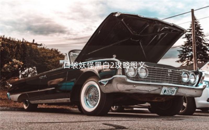 口袋妖怪黑白2攻略图文
