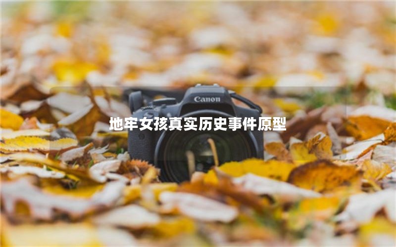 地牢女孩真实历史事件原型
