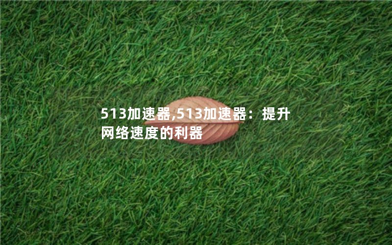 513加速器,513加速器:提升网络速度的利器 513加速器,513加速器:提升网络速度的利器