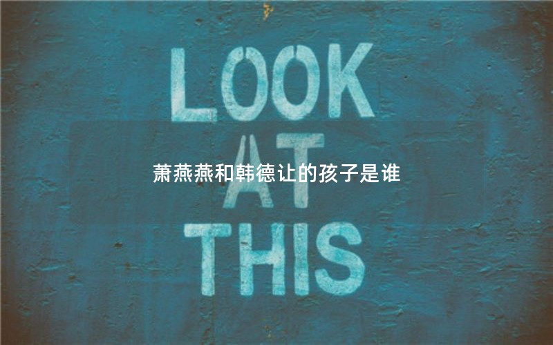 萧燕燕和韩德让的孩子是谁