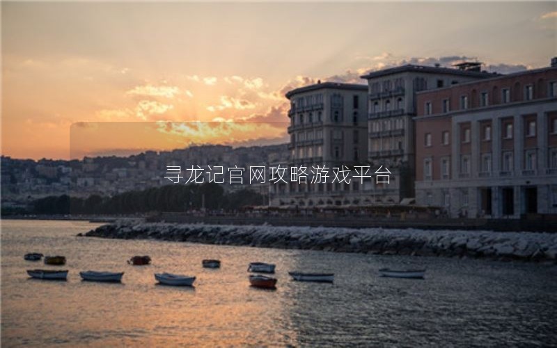 寻龙记官网攻略游戏平台