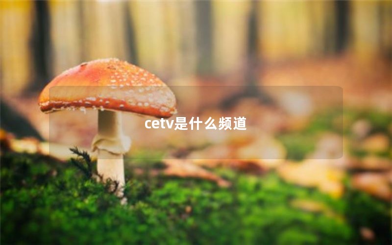cetv是什么频道