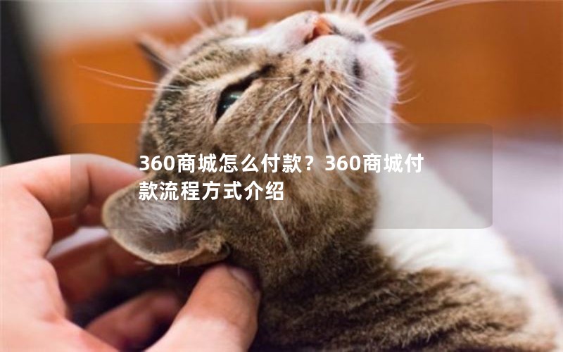 360商城怎么付款？360商城付款流程方式介绍