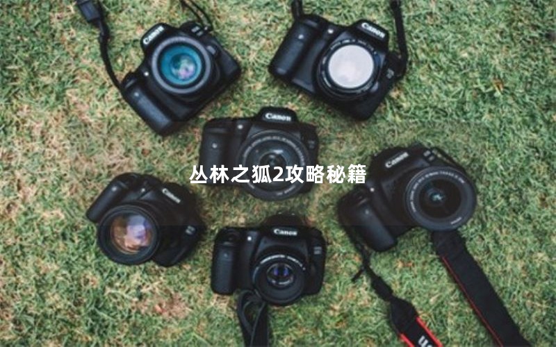 丛林之狐2攻略秘籍