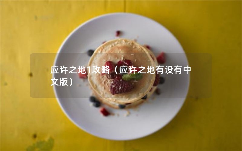 应许之地1攻略（应许之地有没有中文版）