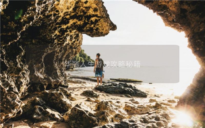 华丽人生游戏攻略秘籍