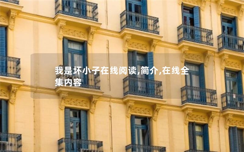 我是坏小子在线阅读,简介,在线全集内容