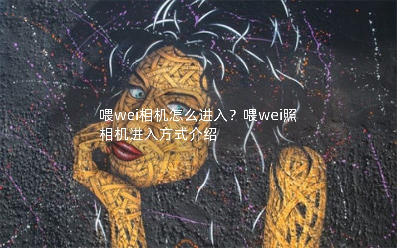 喂wei相机怎么进入？喂wei照相机进入方式介绍