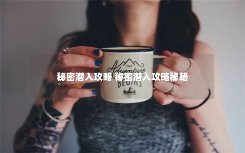 秘密潜入攻略 秘密潜入攻略秘籍