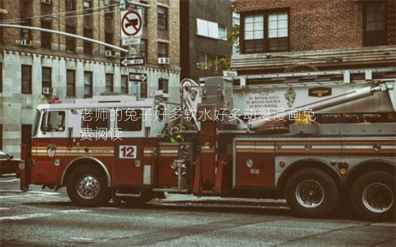 老师的兔子好多软水好多动漫漫画免费阅读