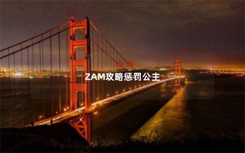 ZAM攻略惩罚公主