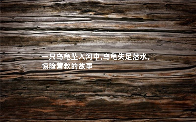 一只乌龟坠入河中,乌龟失足落水，惊险营救的故事