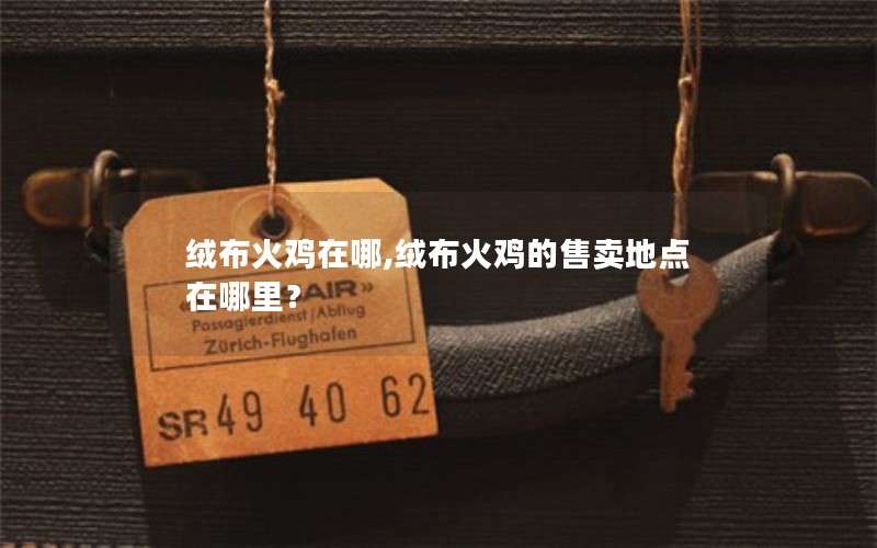 绒布火鸡在哪,绒布火鸡的售卖地点在哪里？