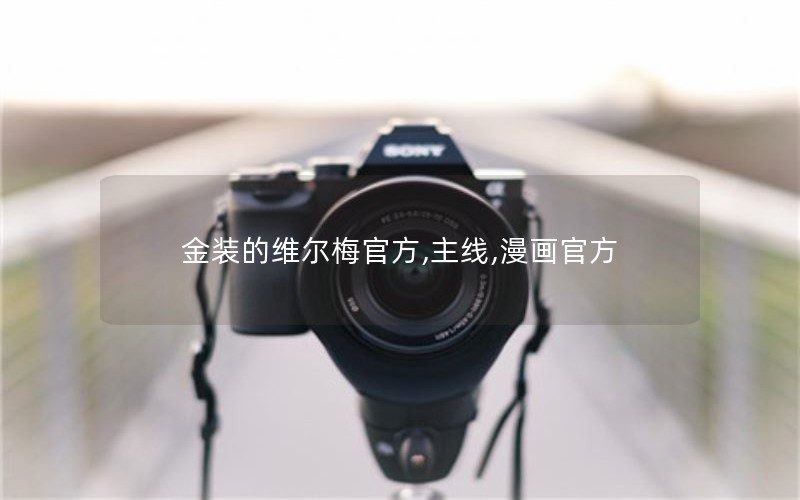 金装的维尔梅官方,主线,漫画官方