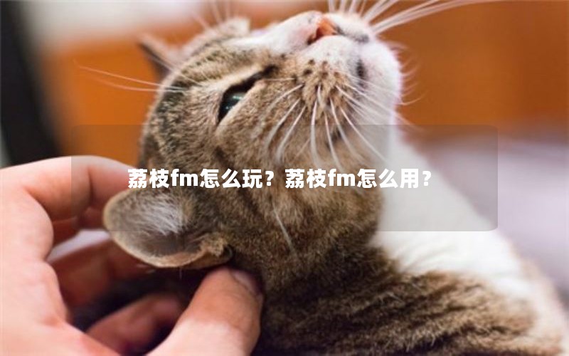 荔枝fm怎么玩？荔枝fm怎么用？