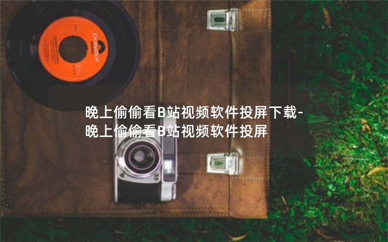 晚上偷偷看B站视频软件投屏下载-晚上偷偷看B站视频软件投屏