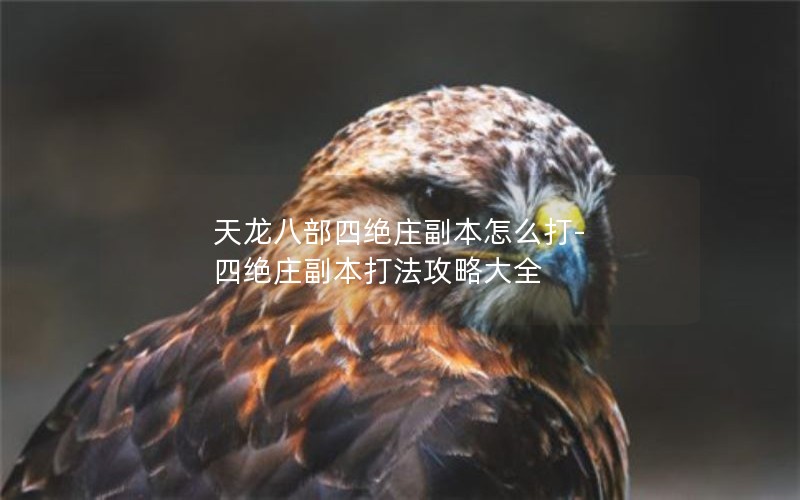 天龙八部四绝庄副本怎么打-四绝庄副本打法攻略大全