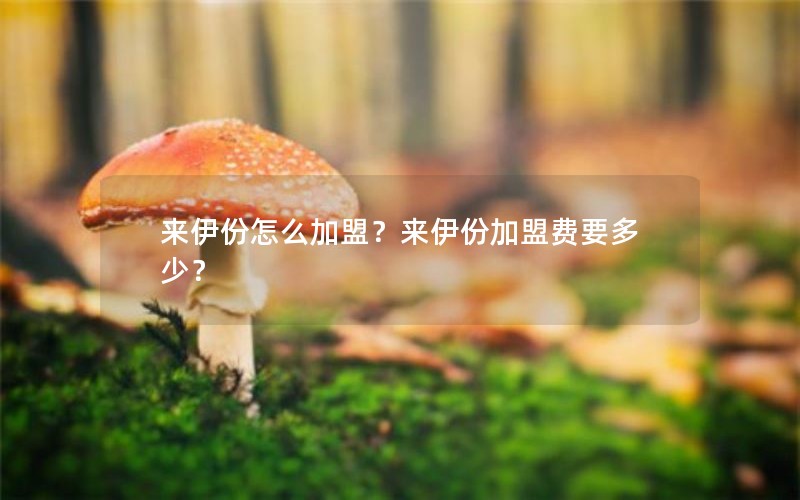 来伊份怎么加盟？来伊份加盟费要多少？