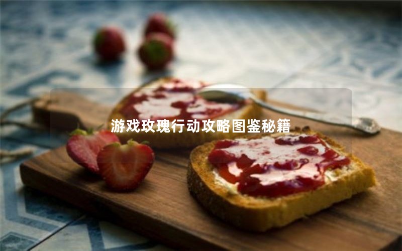 游戏玫瑰行动攻略图鉴秘籍