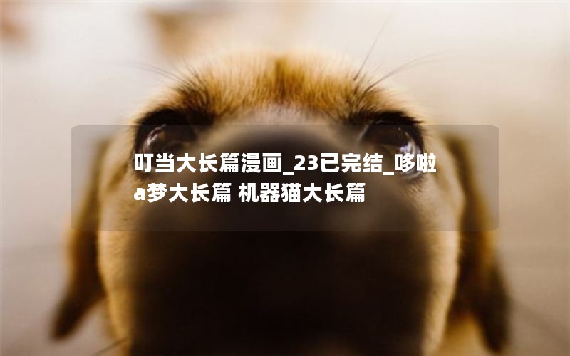 叮当大长篇漫画_23已完结_哆啦a梦大长篇 机器猫大长篇