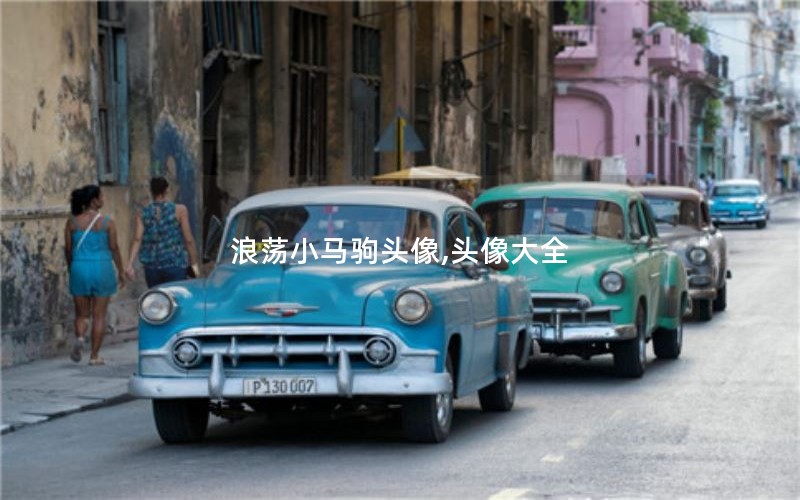 浪荡小马驹头像,头像大全 浪荡小马驹头像,头像大全