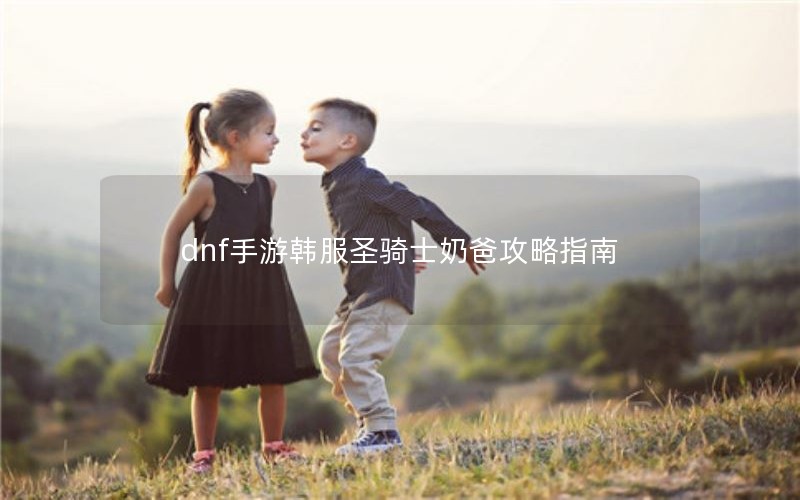dnf手游韩服圣骑士奶爸攻略指南