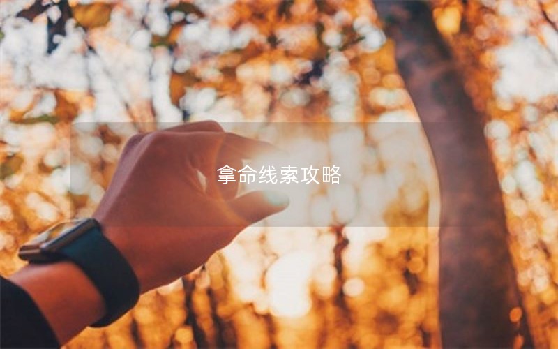 拿命线索攻略