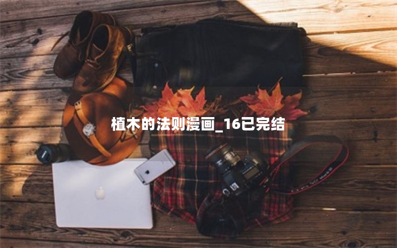 植木的法则漫画_16已完结