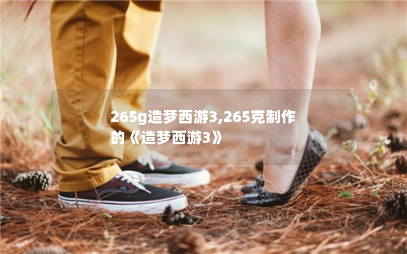 265g造梦西游3,265克制作的《造梦西游3》 265g造梦西游3,265克制作的《造梦西游3》