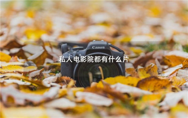 私人电影院都有什么片 私人电影院都有什么片