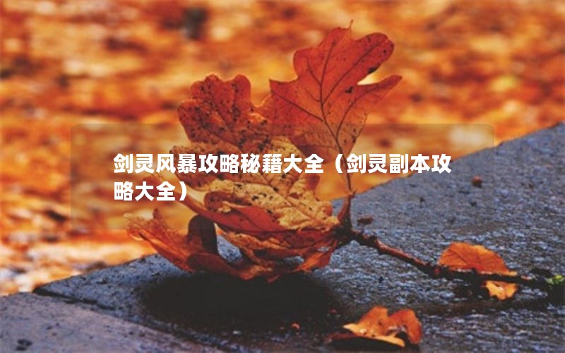 剑灵风暴攻略秘籍大全（剑灵副本攻略大全）