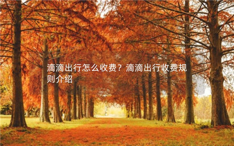 滴滴出行怎么收费？滴滴出行收费规则介绍