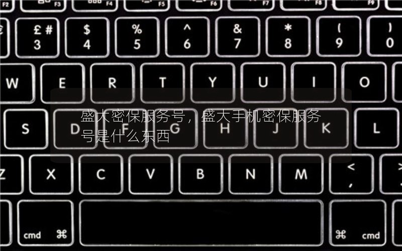 盛大密保服务号，盛大手机密保服务号是什么东西