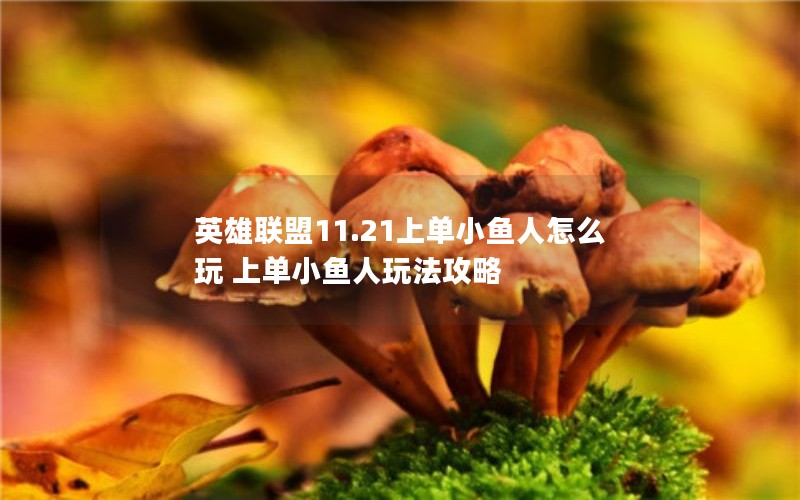 英雄联盟11.21上单小鱼人怎么玩 上单小鱼人玩法攻略