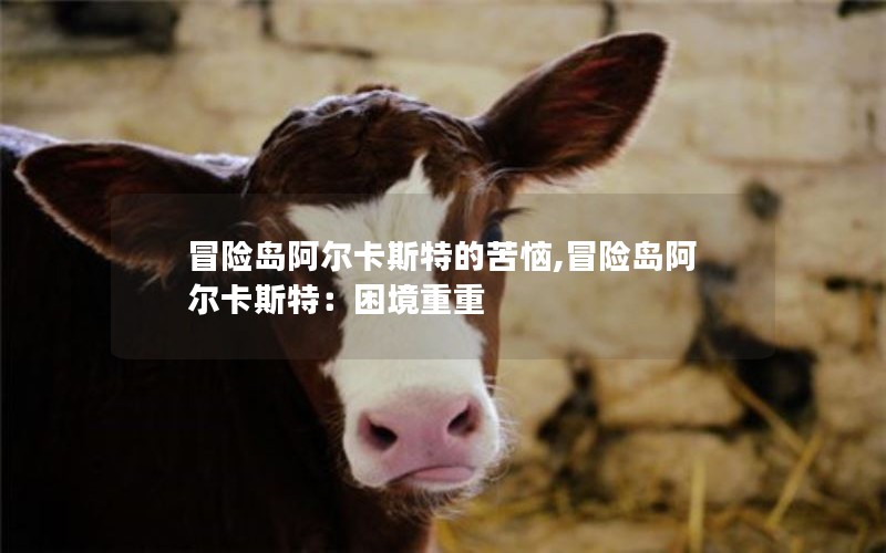 冒险岛阿尔卡斯特的苦恼,冒险岛阿尔卡斯特：困境重重