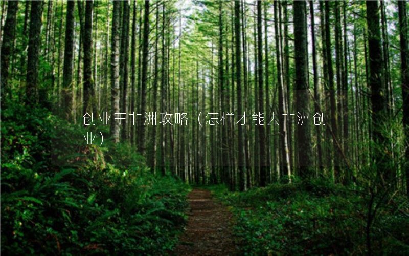 创业王非洲攻略（怎样才能去非洲创业）