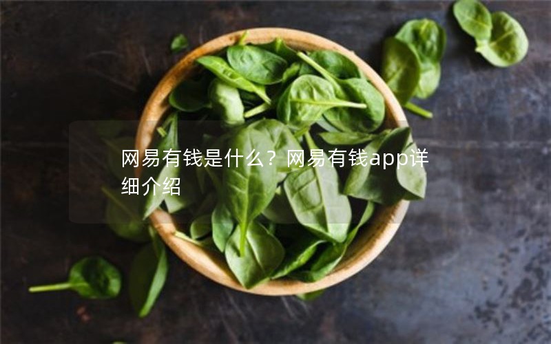 网易有钱是什么？网易有钱app详细介绍