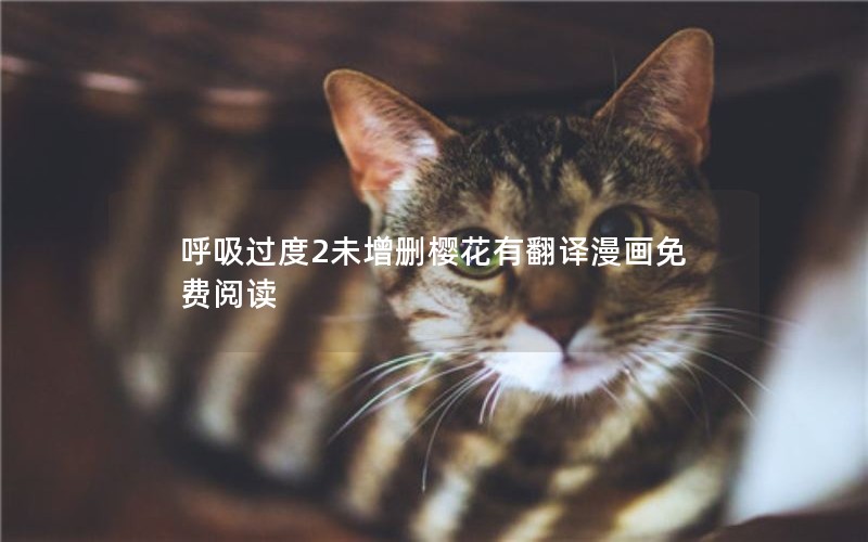 呼吸过度2未增删樱花有翻译漫画免费阅读